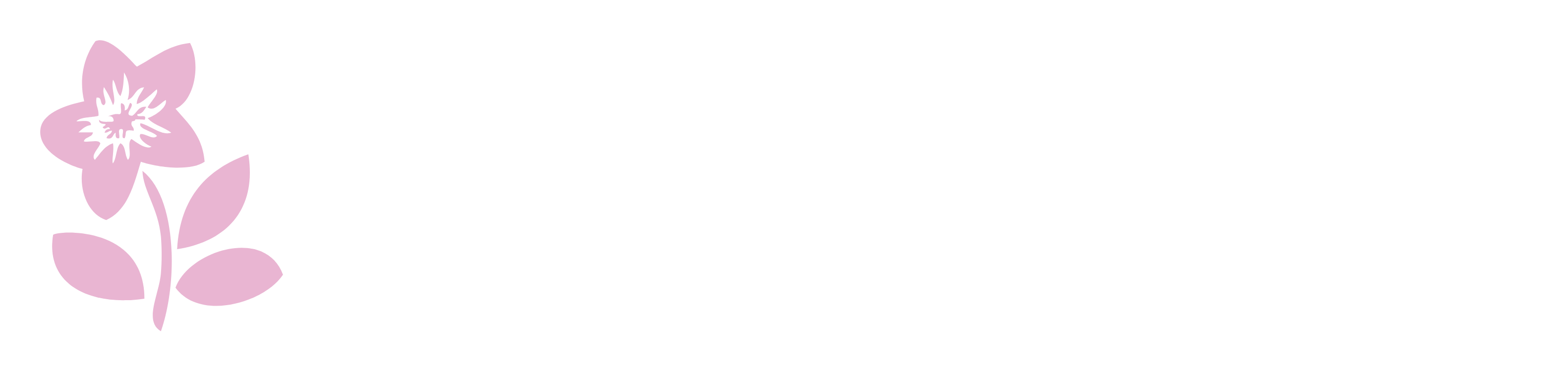 BOMBAXMiner